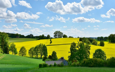 Jak dokonać zakupu działki z przetargu od gminy? Na co zwrócić uwagę przy kredycie hipotecznym.